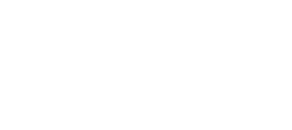 Webshop-Bac-Online.png